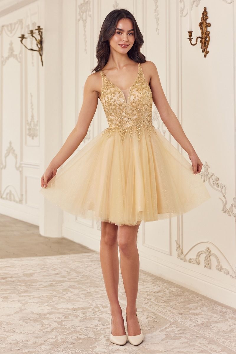 BEADED A-LINE LAYERED TULLE SHORT DRESS CDCY022